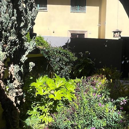 Loquat House Nel Giardino Segreto In Zona Vaticano 罗马 外观 照片