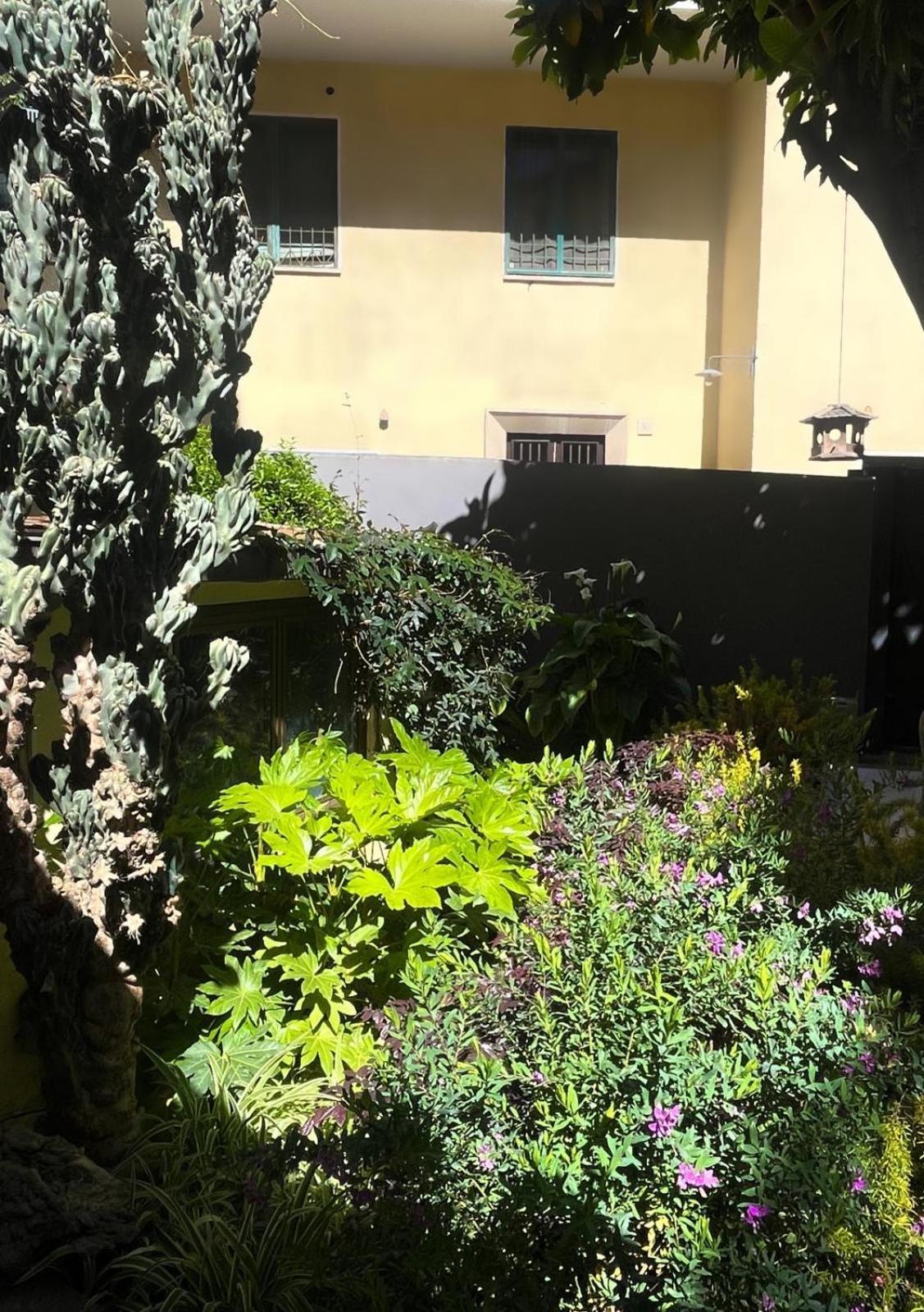 Loquat House Nel Giardino Segreto In Zona Vaticano 罗马 外观 照片